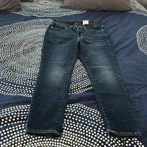 Lucky Brand Bridgette (sculpt-ed series) High Rise Skinny Jeans 10 / 30A